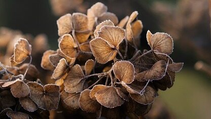 百万账户造假,真实用户数据”裸奔“!从 Moltbook 塌房,看AI时代的隐私暗战