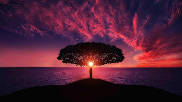 让外部知识“长入”模型：动态化与参数化 RAG 技术探索