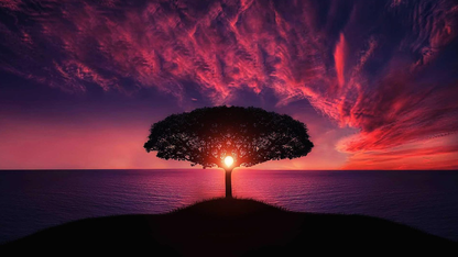 让外部知识“长入”模型:动态化与参数化 RAG 技术探索