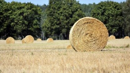 Apache Doris 在小米统一 OLAP 和湖仓一体的实践