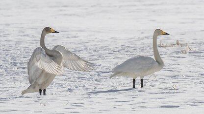 贝壳经纪技术架构演进实践