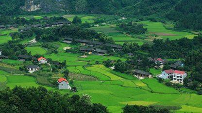 Angular 18 引入了 Zoneless 变更检测