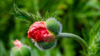 超越应用层的基准测试：Uber如何评估基础设施变更与云服务单元