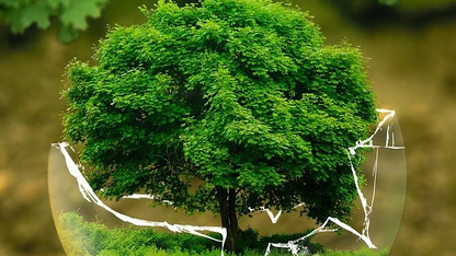 从提示词到生产环境上线：智能体开发指南