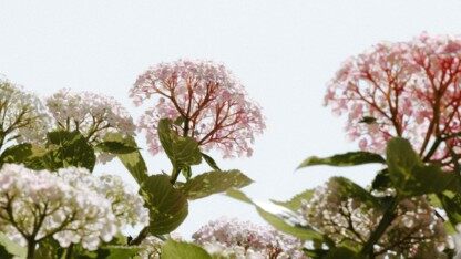 摩擦解决之道:改变关键要素