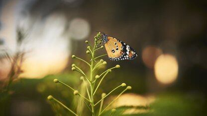 亚马逊云科技推出VPC加密控制，在传输过程中实施强制加密