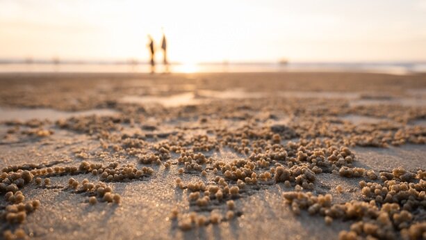 HUAWEI AppGallery Connect 研习社，破解移动应用的成功密码｜Q推荐