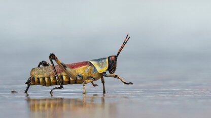 人才济济的大厂，为何频频产出垃圾代码？