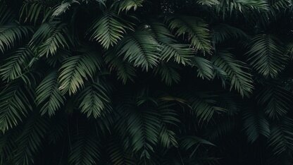 谷歌AI大佬Bengio离职，知情人士称“黑人女性专家被解雇”事件是导火索