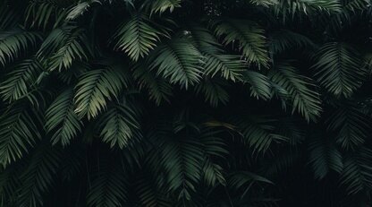 谷歌AI大佬Bengio离职，知情人士称“黑人女性专家被解雇”事件是导火索