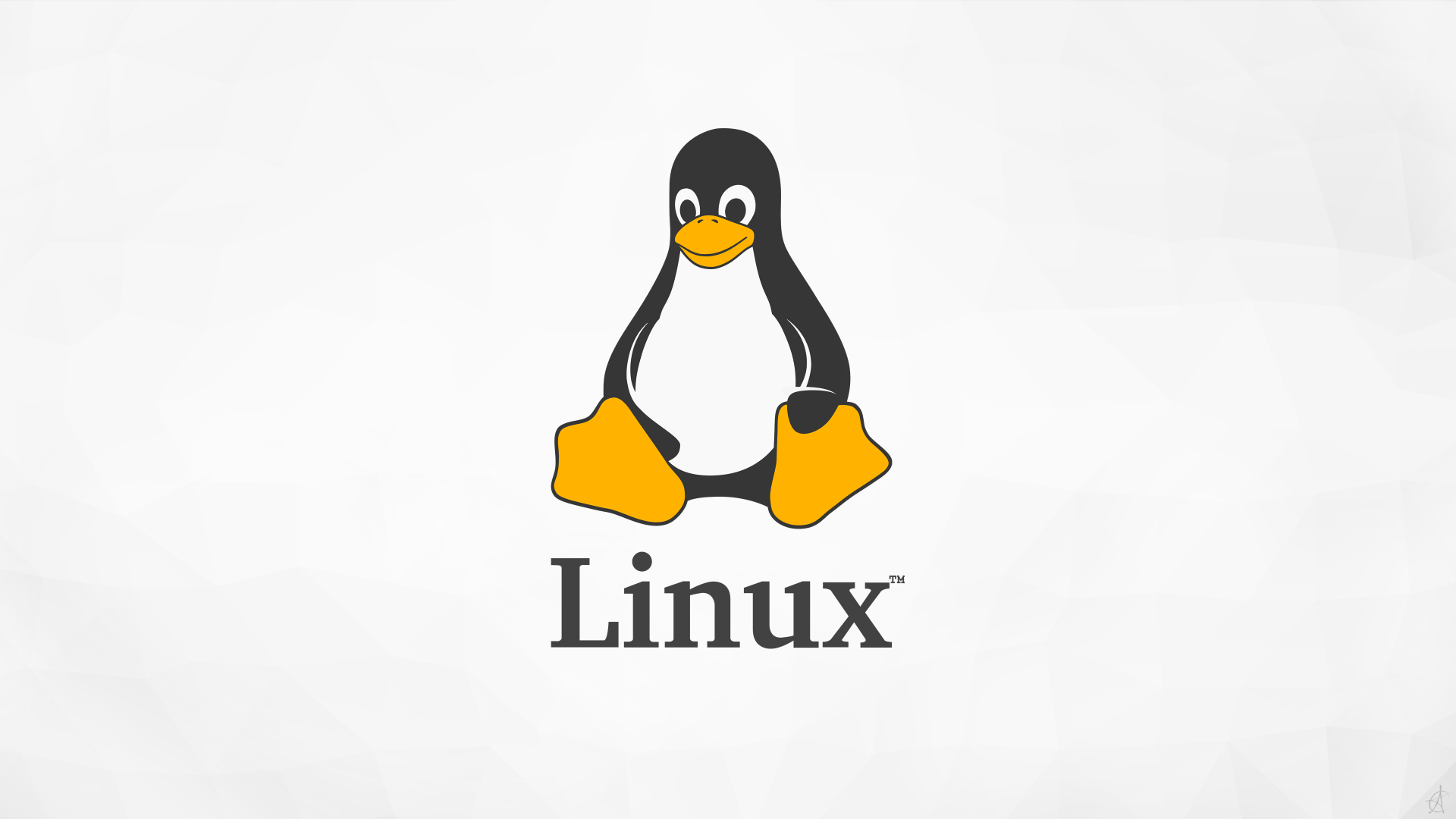 Linus 发文宣布Linux Kernel 5.0 正式发布