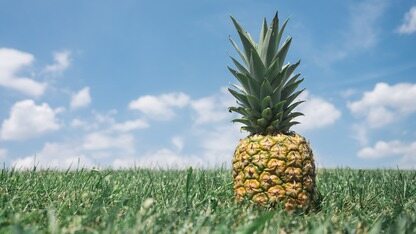 Electron 9.0.0发布！带来三项重大改进，不再支持Electron 6