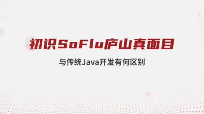 初识 SoFlu 庐山真面目：与传统 Java 开发有何区别？