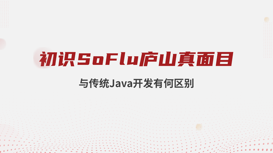 初识 SoFlu 庐山真面目：与传统 Java 开发有何区别？