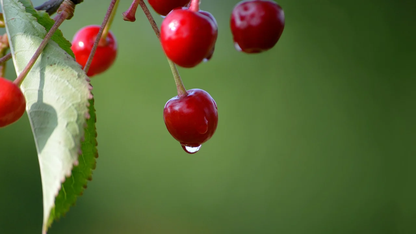 亚马逊云科技推出Amazon Transform全新Agent功能，加速任意代码与应用现代化