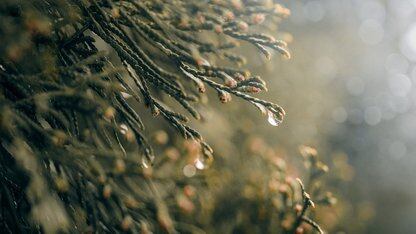 OneFlow创始人袁进辉：要获得机会，需要颠覆式创新