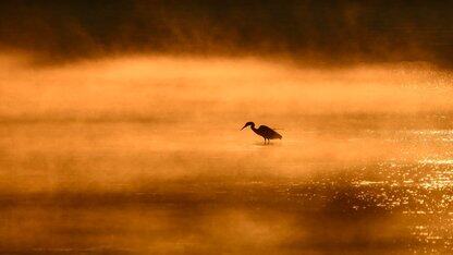 aiXcoder 7.0全新发布：面向企业真实研发场景，打“智能体工厂”