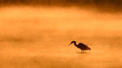 最极致的数据安全计算,迎来产业化的“临界时刻”