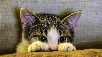 EC2 Auto Scaling 的目标跟踪策略