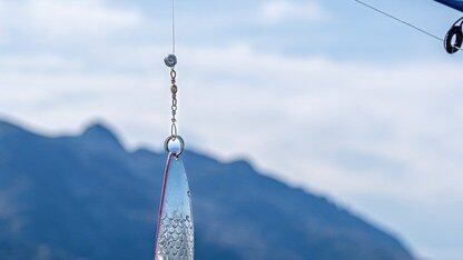 Quesma 发布 OTelBench,用于评估 OpenTelemetry 基础设施与 AI 性能