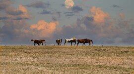 泛型会让你的 Go 代码运行变慢