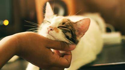 大模型记忆系统 MemOS 2.0:StarDust 技术演进与关键挑战|QCon北京