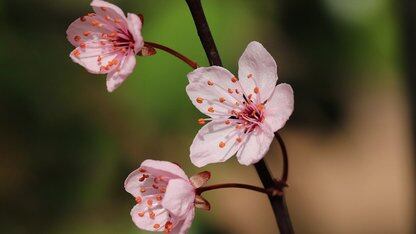 Wide&Deep算法在老虎证券内容推荐领域应用实践