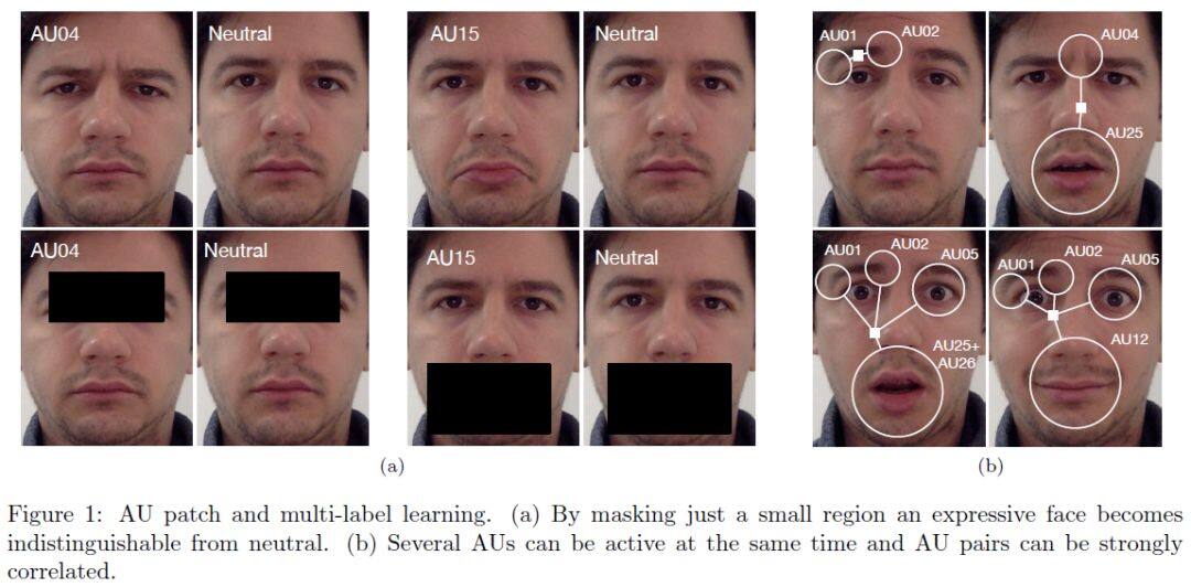 人脸表情识别研究