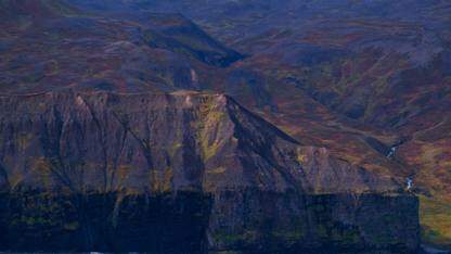 JFrog推出“影子AI检测”功能,助力企业应对软件供应链中的隐性AI风险