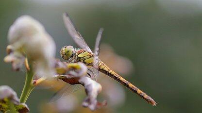 Authress如何设计以增强弹性并成功应对亚马逊云科技的重大宕机事件