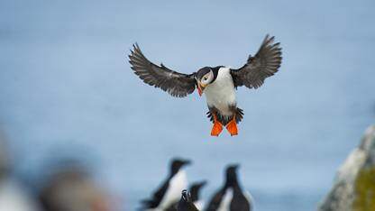 Agent 记忆系统在 eBay 支付风控团队的探索与实践｜QCon北京