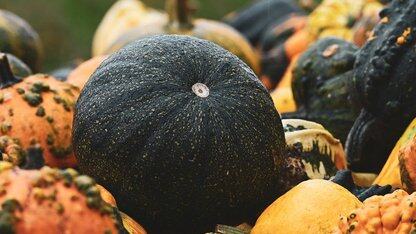 首页大翻新，Agent HQ 上线！回归微软后，GitHub 不再是你认识的 GitHub 了？