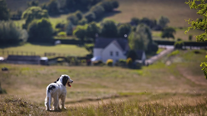 软件开发人员认为无需关注却可能会影响其工作的那些事