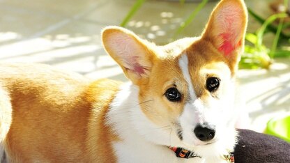 新的 AWS 认证专项考试和利益