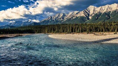 LLM 技术在有道词典笔上的应用实践