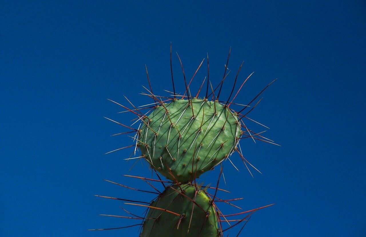 OpenAI 偷装“死对头”Anthropic Skills 实锤,ChatGPT、Codex已植入!111分钟造PDF+自动改字体,开发者亲测力捧:比MCP重要!