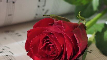 PyPI 供应链攻击导致 LiteLLM 遭入侵，致使敏感信息被窃取