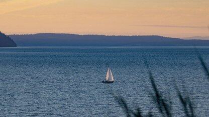 日本软件业烂透了！谷歌日本高管揭秘回顾那些被遗忘的错误
