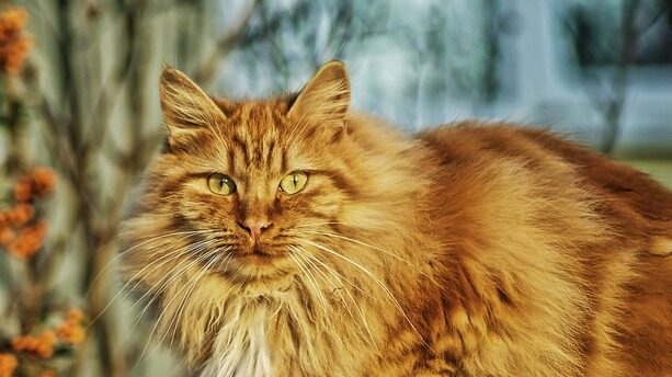 从 RAG 到 Context：2025 年 RAG 技术年终总结