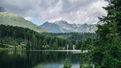 直播预告:《国产服务器操作系统发展报告(2025)》解读 |《AI 进化论》第七期