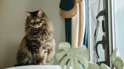 亿万富翁给妻子捐5亿美元科研经费；印度冻结vivo资金近4亿元；马云赴荷兰学“种地” ；红客联盟宣布解散|AI一周资讯