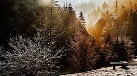 多模态从技术突破到创新应用落地｜AICon 前瞻