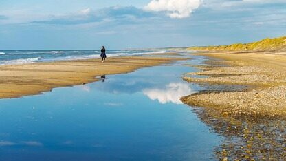 “答开发者问”之HarmonyOS技术问题解析 第17期