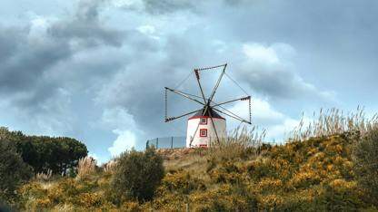 HarmonyOS中的路由跳转该怎么设计？Router和Navigation应该使用哪个呢？