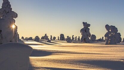 Linus 之后的 Linux?内核社区终于写下“接班预案”