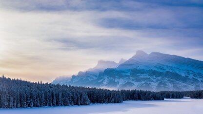 【有搜必应】之HarmonyOS热搜技术问题解析 系列汇总（持续更新中...）