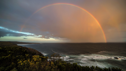 告别“语义黑盒”：当 Agent 走进生产环境，我们如何驯服它的“不可预测”？