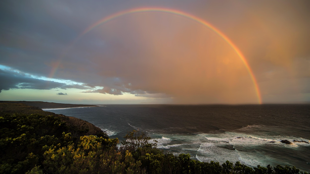 告别“语义黑盒”：当 Agent 走进生产环境，我们如何驯服它的“不可预测”？