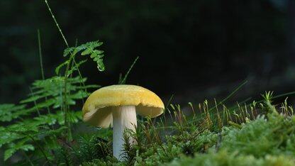 Yelp 发布大规模管理 S3 服务器访问日志的方案