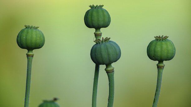 Malagu:平台无关的开源Serverless First应用开发框架